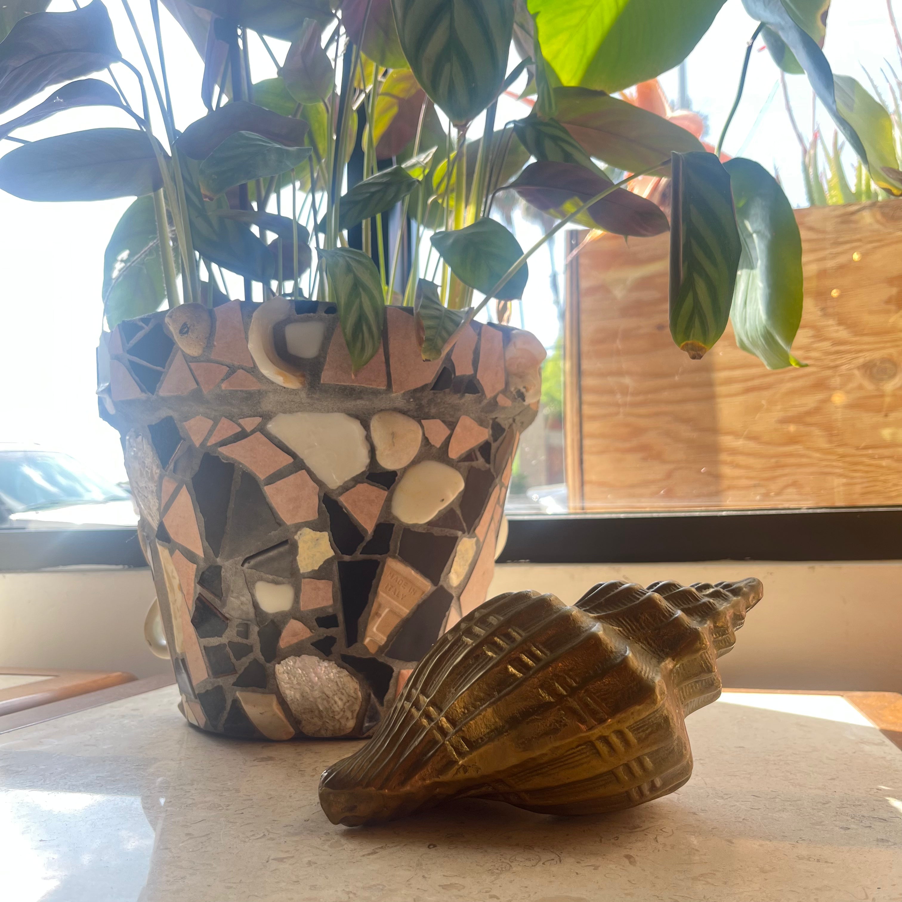 Vintage Brass Conch Seashell styling object CANDID HOME