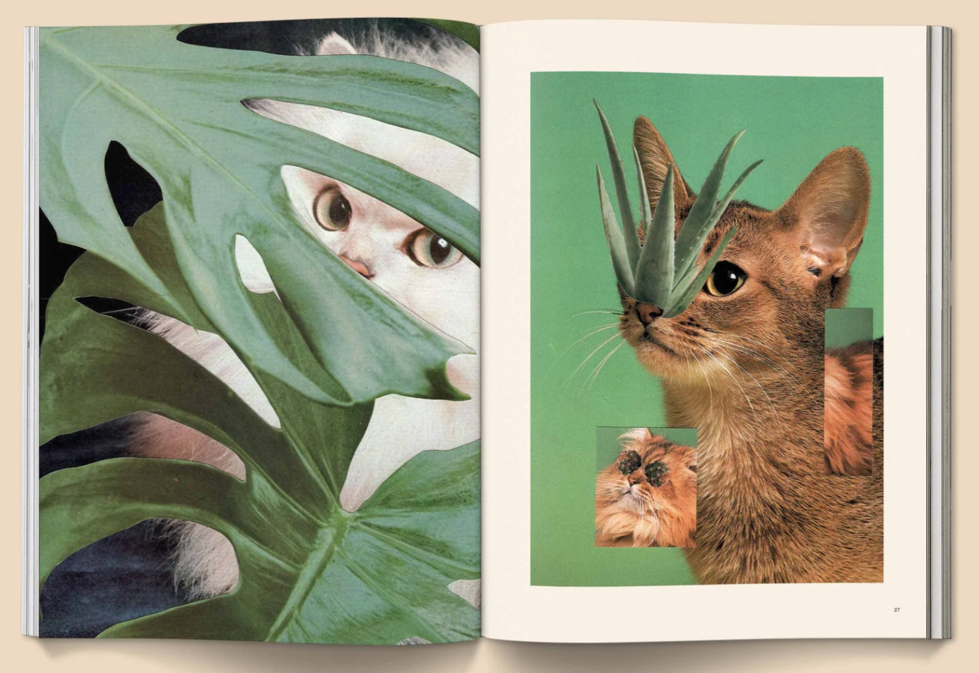 Catnip Magazine magazine broccoli