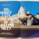 Catnip Magazine magazine broccoli