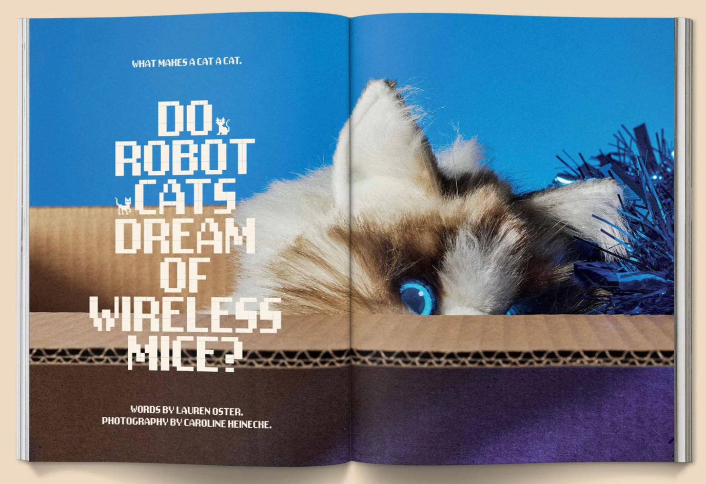 Catnip Magazine magazine broccoli