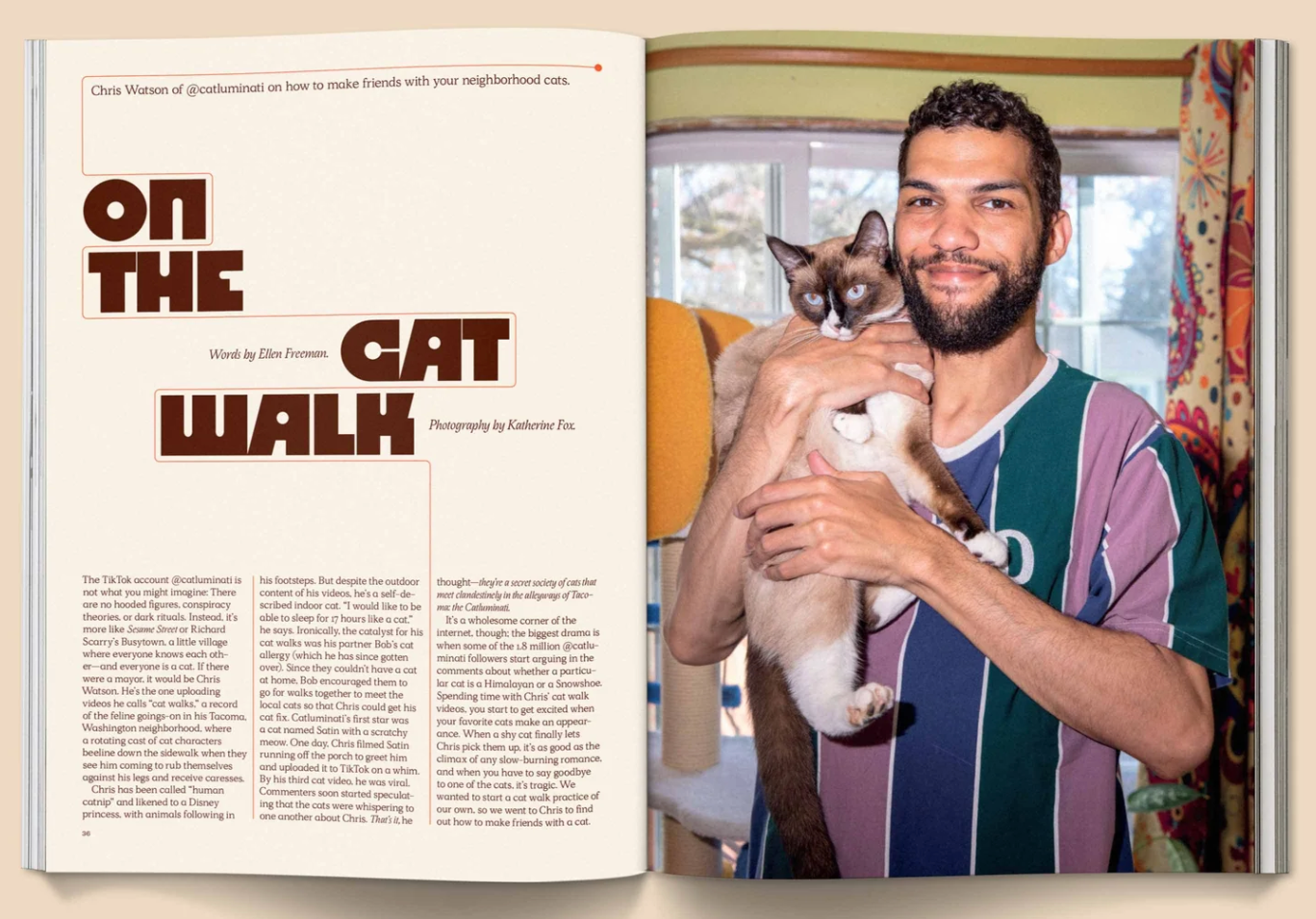 Catnip Magazine magazine broccoli