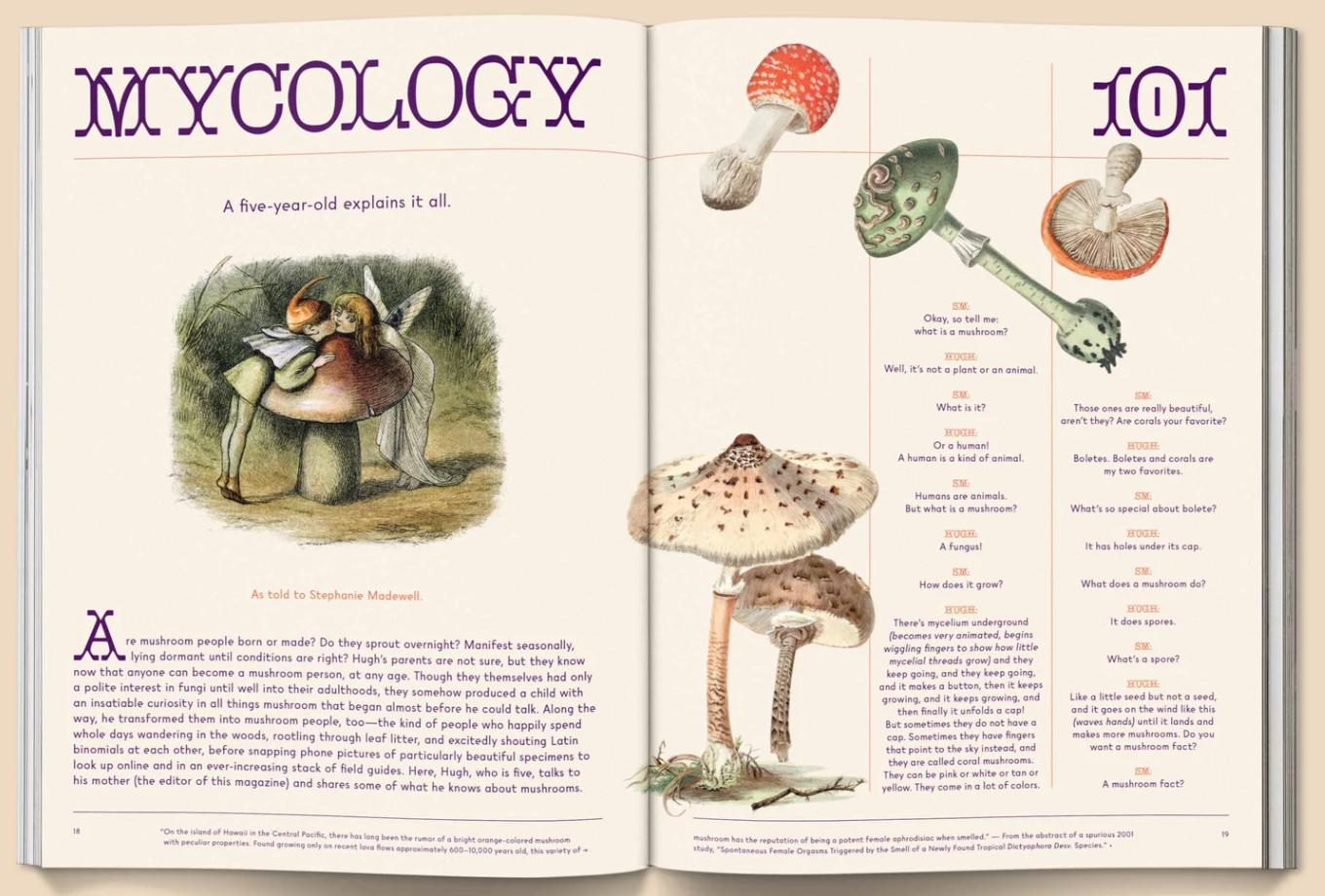 Mushroom People Magazine magazine broccoli
