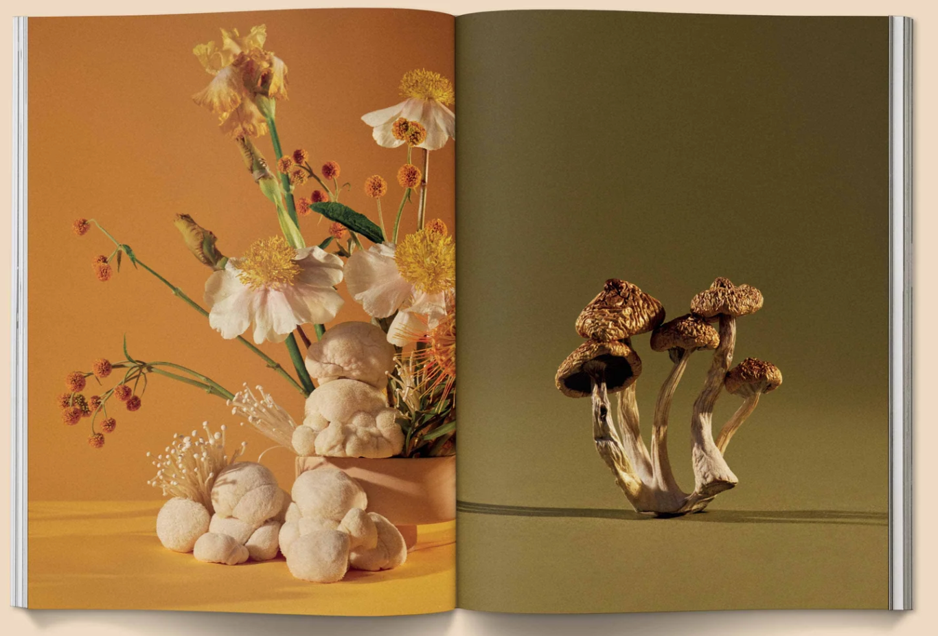 Mushroom People Magazine magazine broccoli