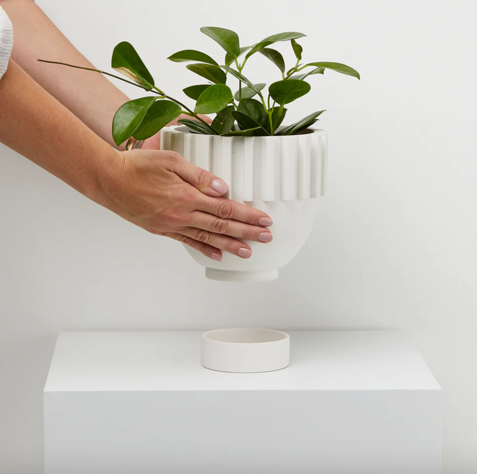 Solstice Planter by Capra Designs planter Capra Designs