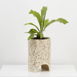 Archie Terrazzo Planter Pots & Planters Capra Designs Fossil