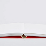 Neon Vinyl Notebooks by Nuuna notebook NUUNA