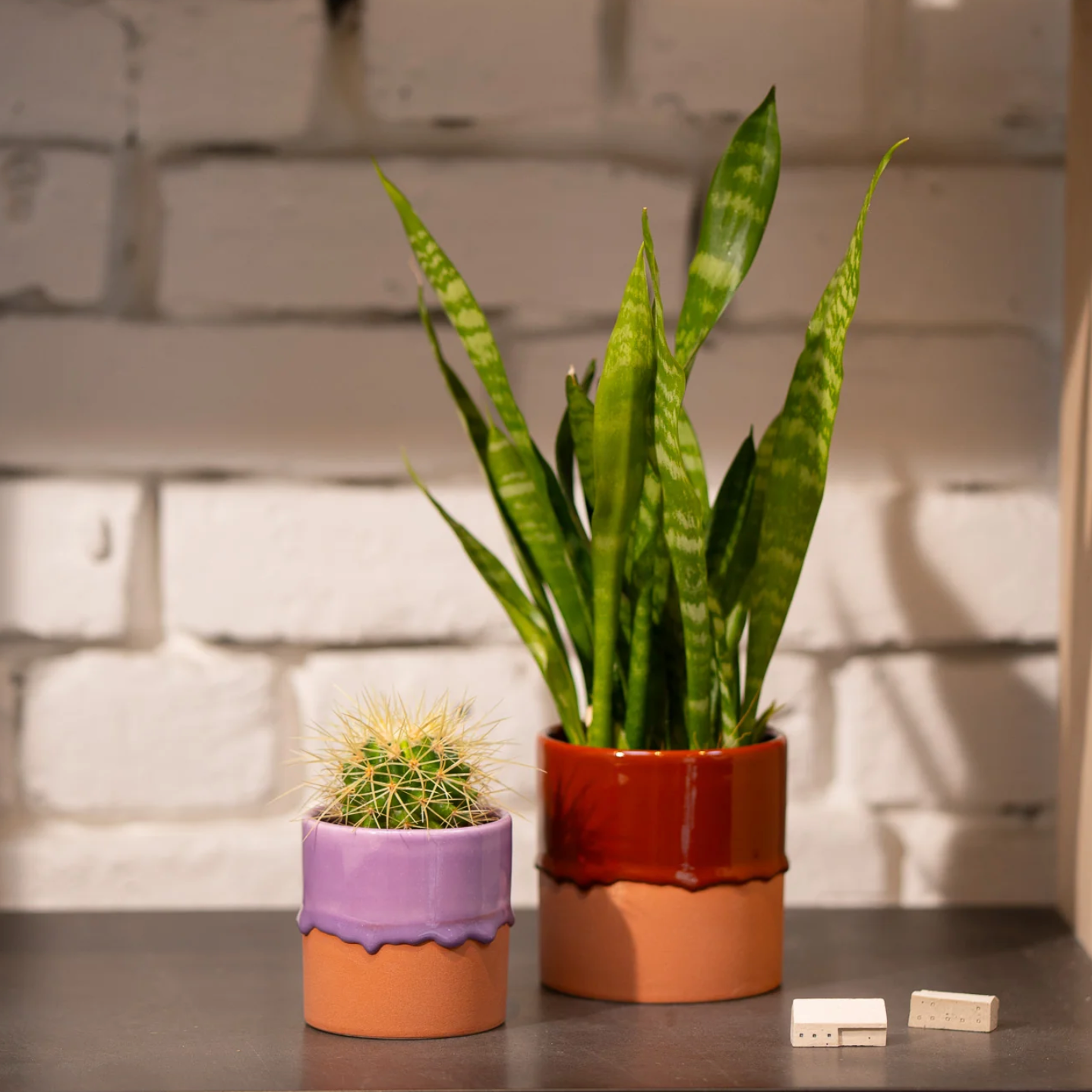 Drip Ceramic Planters by Yod + Co Pots & Planters yod and co