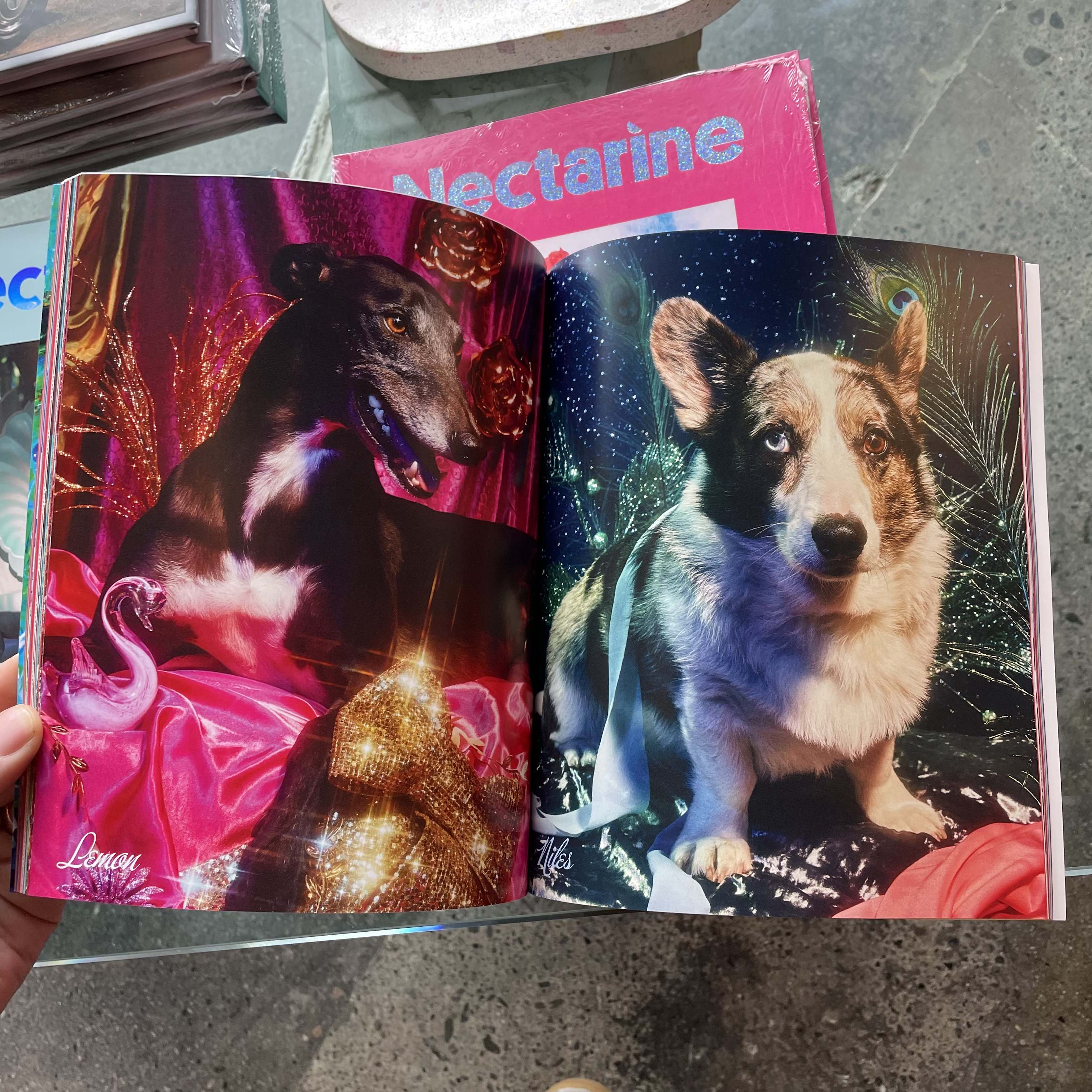 The Camp Issue - Nectarine Magazine Books nectarine