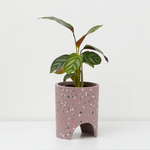 Small Archie Planter By Capra Design Pots & Planters Capra Designs Purple Musk