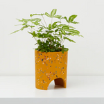 Small Archie Planter By Capra Design Pots & Planters Capra Designs Gold Terrazzo