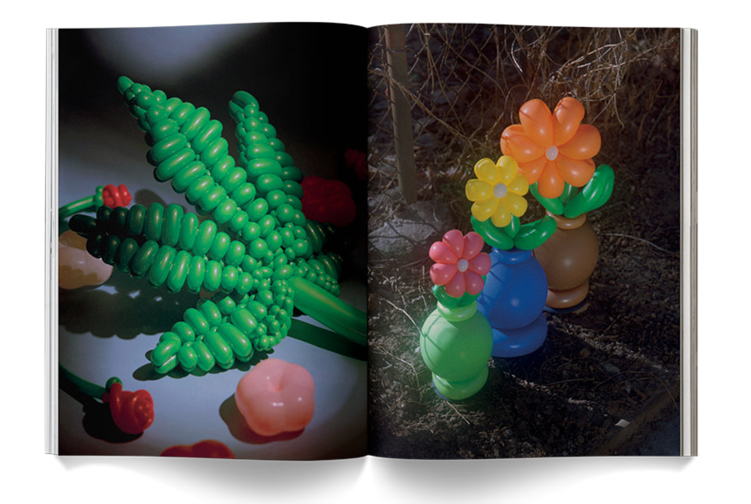 "A Weed is a Flower: Artful Cannabis Photography" - Broccoli Books broccoli