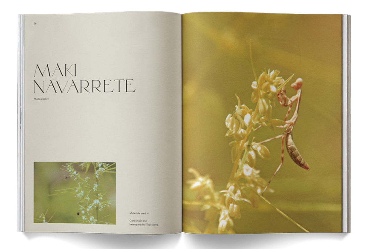 "A Weed is a Flower: Artful Cannabis Photography" - Broccoli Books broccoli