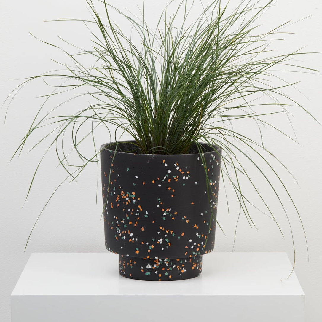 Banjo Planter by Capra Designs Pots & Planters Capra Designs