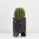 Archie Terrazzo Planter Pots & Planters Capra Designs