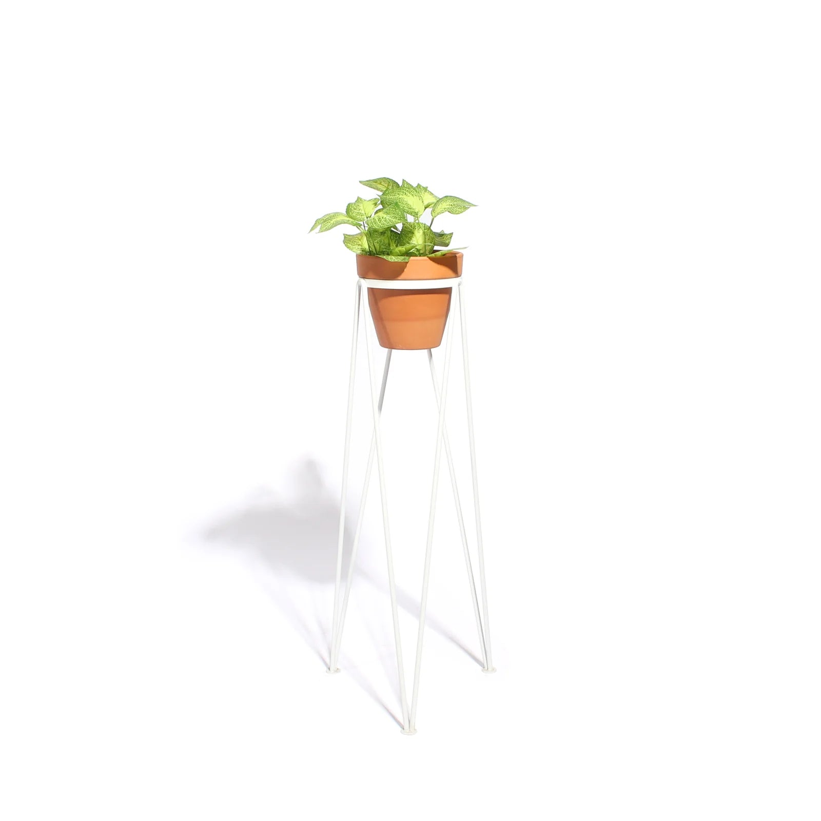Standing Geometric Planters by New Made LA