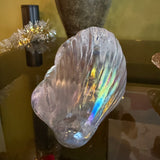 Vintage Silvestri Crystal Shell Paperweights