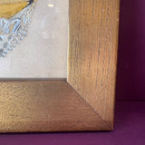 Antique Framed Still Life - 13.75" x 10.75