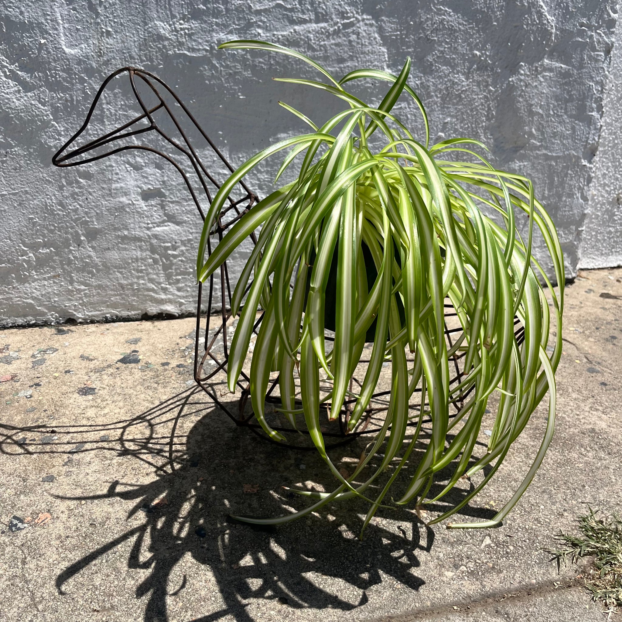 Vintage Wire Frame Duck Planter Pots & Planters CANDID HOME   