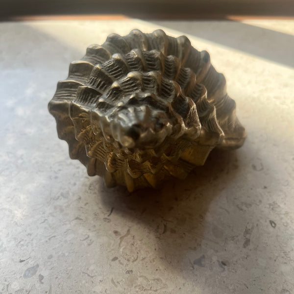 Vintage Brass Conch Seashell styling object CANDID HOME