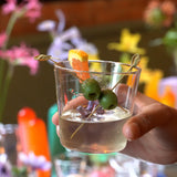Sprezz Whimsical Tumblers - Set of 4 glassware sprezz