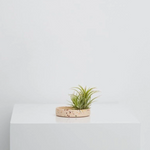 Terrazzo Trays by Capra Designs tray Capra Designs Small Pink Salt  