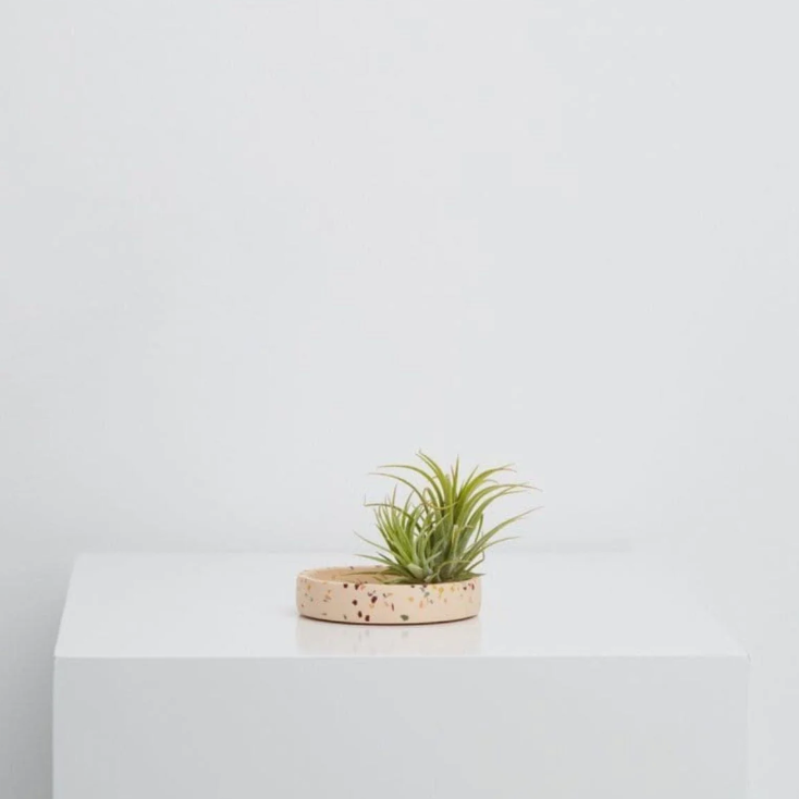Terrazzo Trays by Capra Designs tray Capra Designs Small Pink Salt  