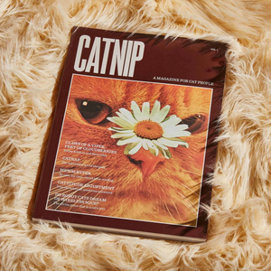 Catnip Magazine magazine broccoli   