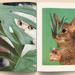 Catnip Magazine magazine broccoli   