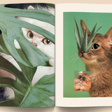 Catnip Magazine magazine broccoli   