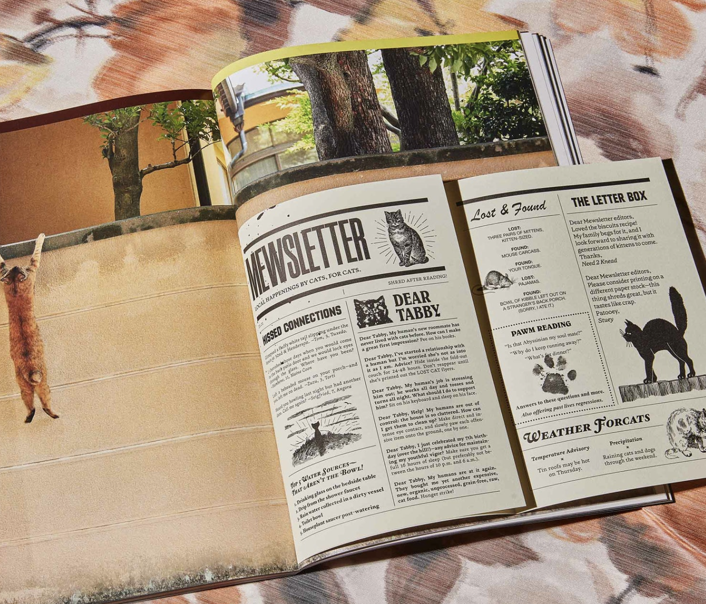 Catnip Magazine magazine broccoli   