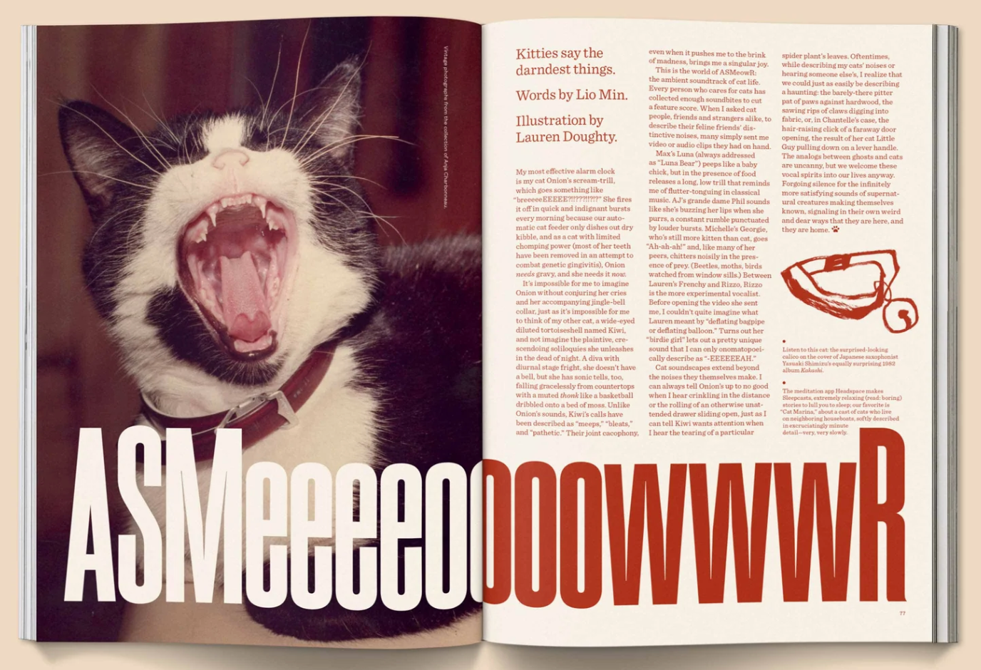 Catnip Magazine magazine broccoli   