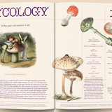 Mushroom People Magazine magazine broccoli   