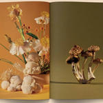 Mushroom People Magazine magazine broccoli   