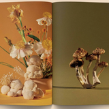 Mushroom People Magazine magazine broccoli   