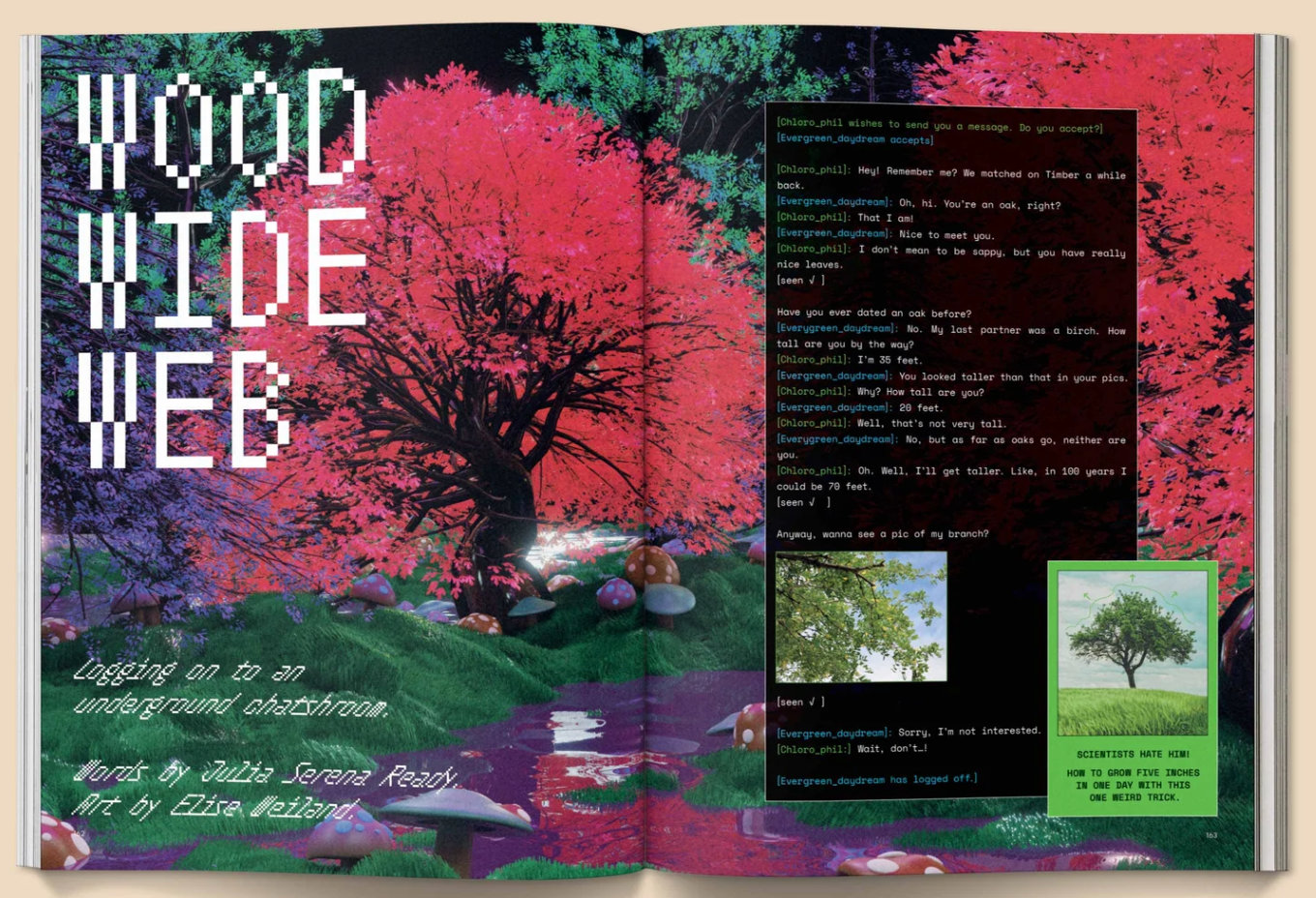 Mushroom People Magazine magazine broccoli   