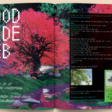 Mushroom People Magazine magazine broccoli   