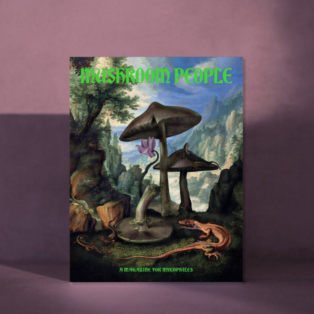 Mushroom People Magazine magazine broccoli   
