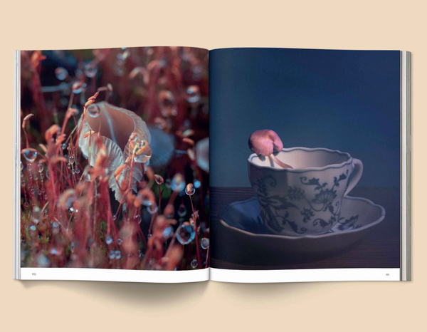 Spores: Magical Mushroom Photography Books CANDID HOME   
