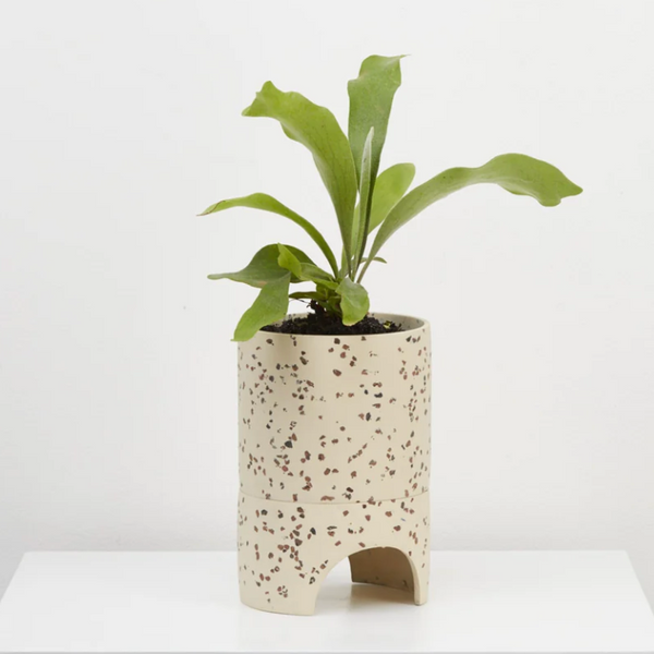 Archie Terrazzo Planter Pots & Planters Capra Designs Fossil  