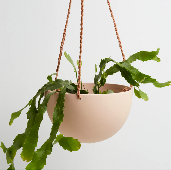 Capra Designs Terrazzo Dome Hanging Planter Pots & Planters Capra Designs   