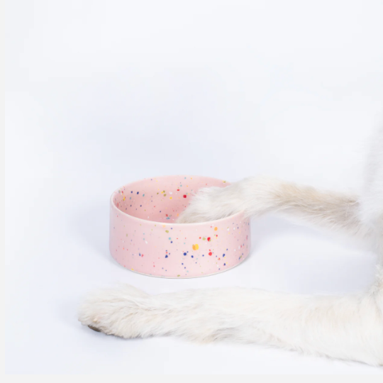 5.5" Speckled Ceramic Pet Bowl by Egg Back Home pet bowl egg back home