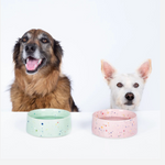 6.5" Speckled Ceramic Pet Bowl by Egg Back Home pet bowl egg back home