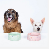 6.5" Speckled Ceramic Pet Bowl by Egg Back Home pet bowl egg back home