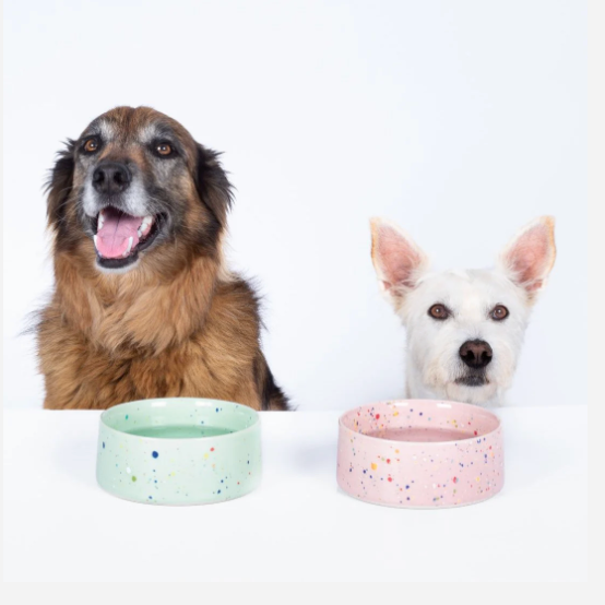 6.5" Speckled Ceramic Pet Bowl by Egg Back Home pet bowl egg back home