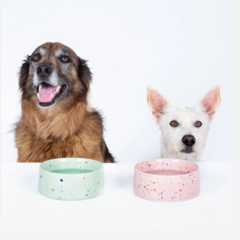 6.5" Speckled Ceramic Pet Bowl by Egg Back Home - Set of 2 pet bowl egg back home   