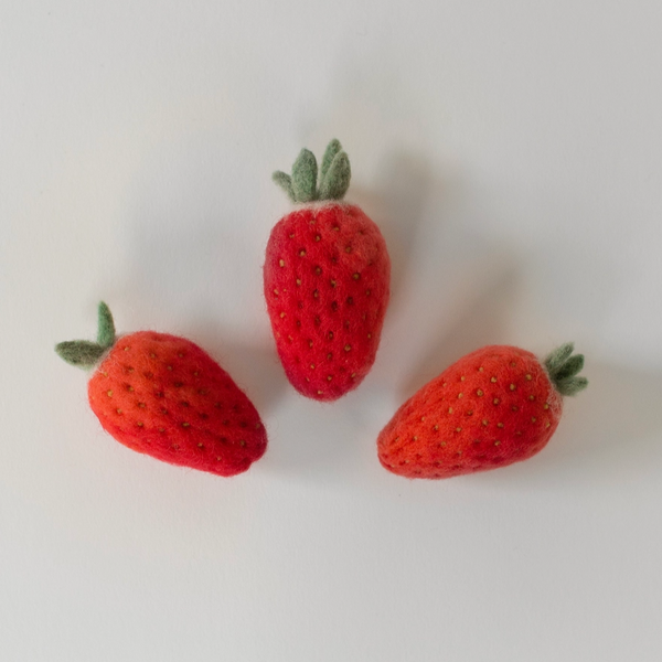 Needle Felting Kit: Strawberry by Petit Felts gift petit felts