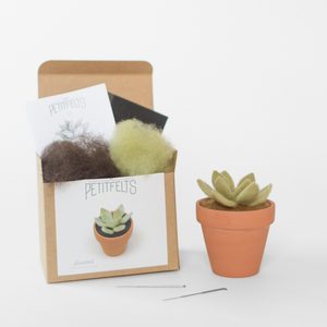 Needle Felting Kit: Succulent by Petit Felts craft kit petit felts