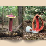 Mushroom People Magazine : Volume 2 Books broccoli
