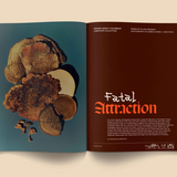 Mushroom People Magazine : Volume 2 Books broccoli