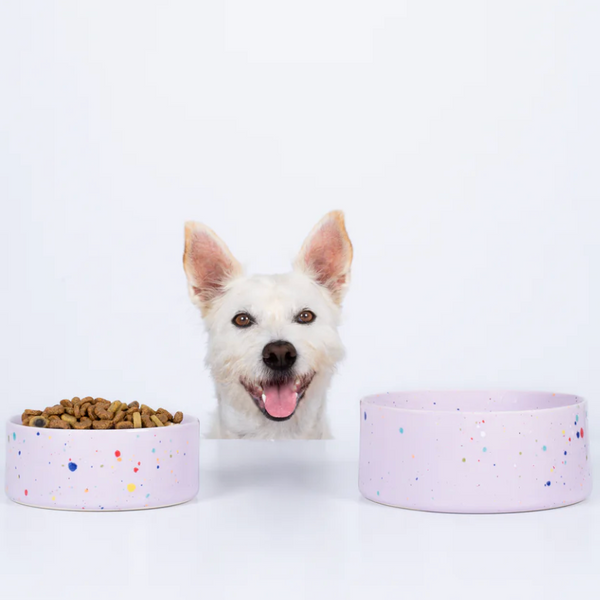 5.5" Speckled Ceramic Pet Bowl by Egg Back Home pet bowl egg back home